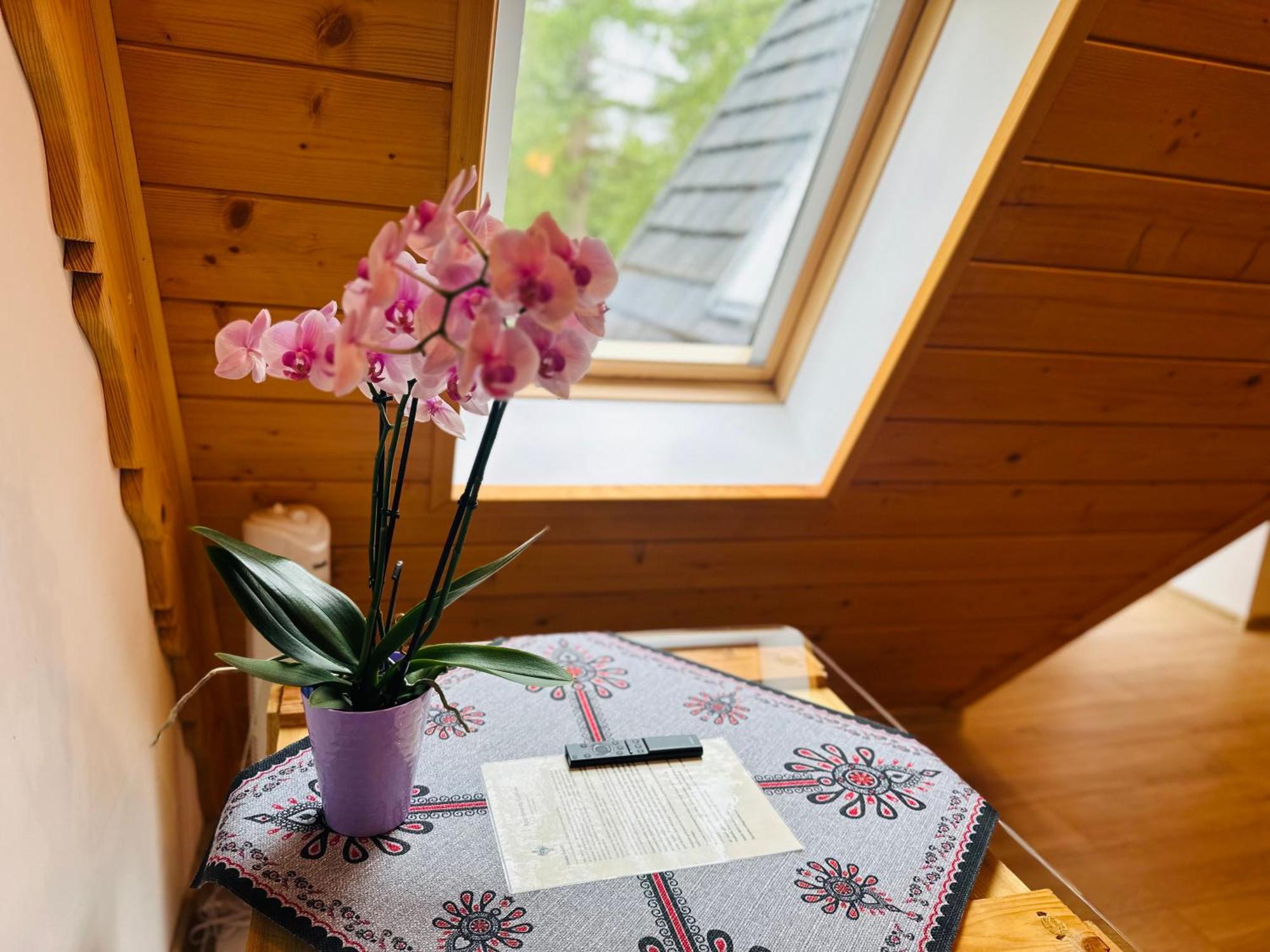 Apartamenty Krokiew ザコパネ エクステリア 写真